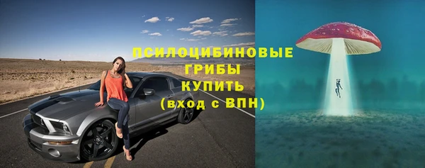 spice Балабаново
