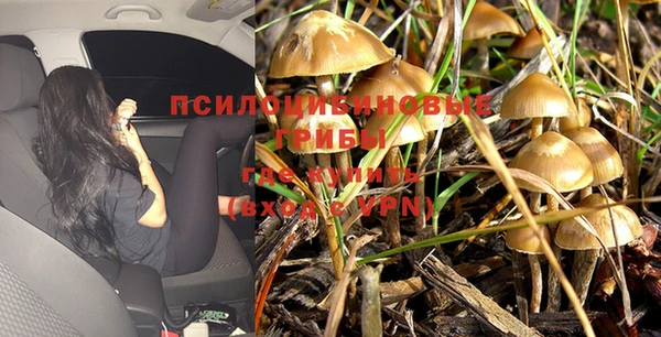 герыч Балахна